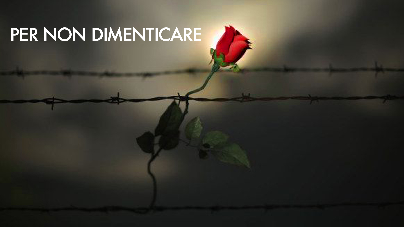 Immagine decoratva