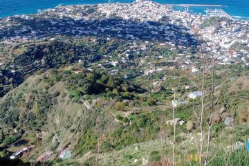 Panorama dai Frassitelli - il verde del crinale terrazzato a vigneti, il bianco del centro storico di Forio e il blu del mare.