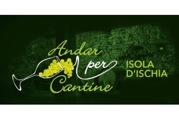 Nell'immagine riportata è visibile il logo dell'evento con la scritta Andar per Cantine Isola D'Ischia