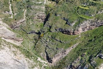 Un sentiero immerso nel verde, tra rocce e piante, che si affaccia su un mare cristallino, conducendo a una tranquilla baia nascosta.