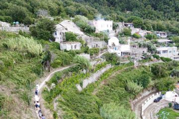 Una panoramica mozzafiato della località del Monte. Si può ammirare il sentiero che si snoda attraverso il paesaggio, conducendo fino alla chiesa. La chiesa, con la sua cupola ben in evidenza, spicca nel panorama circostante, conferendo al luogo un'atmosfera serena e immersa nel verde.