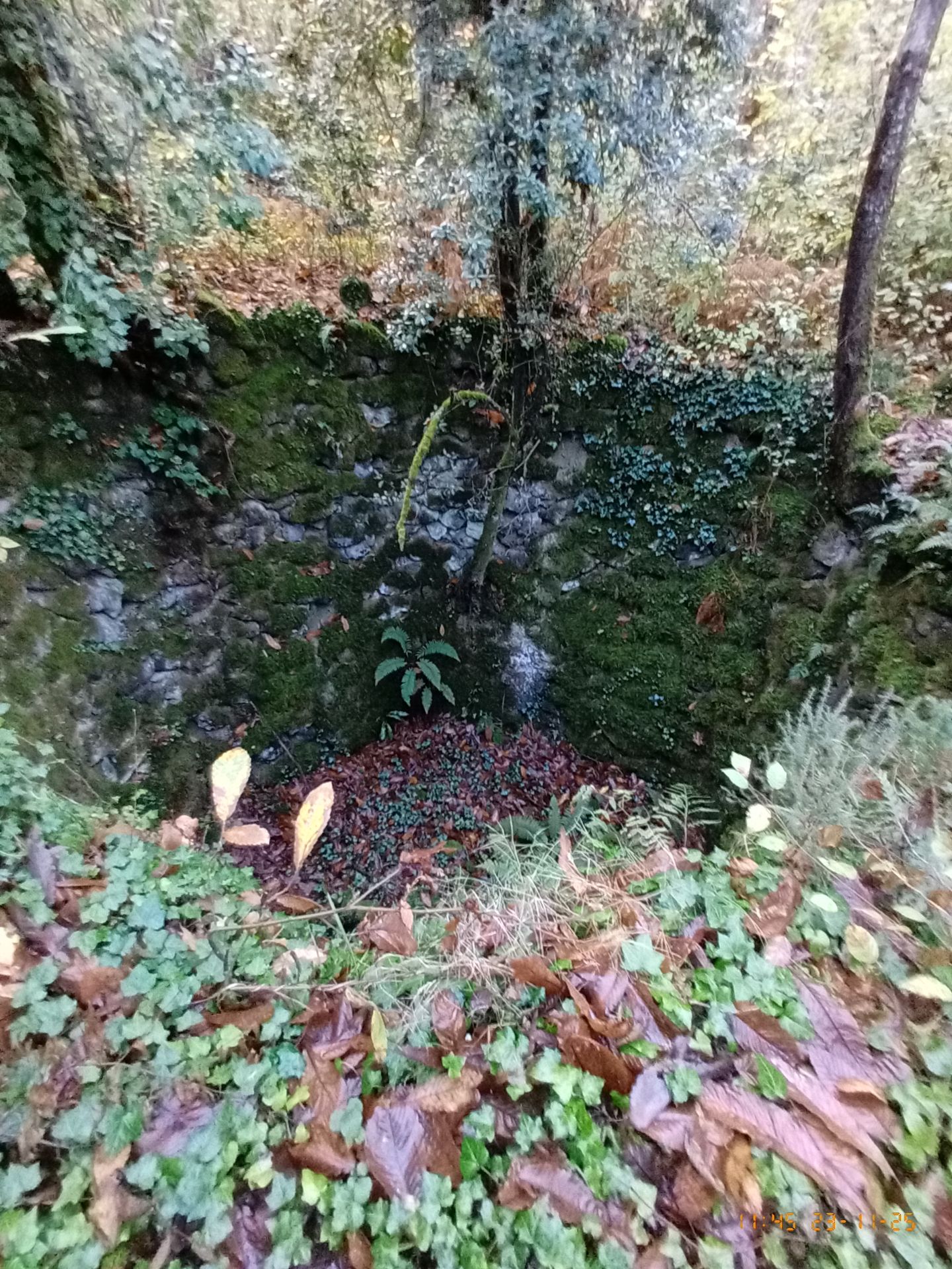 un buco con pareti di muretti a secco fatti con mattoni di tufo verde