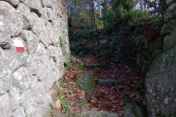 gradoni in pietra costeggiano un muro di tufo verde
