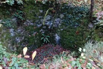 un buco con pareti di muretti a secco fatti con mattoni di tufo verde