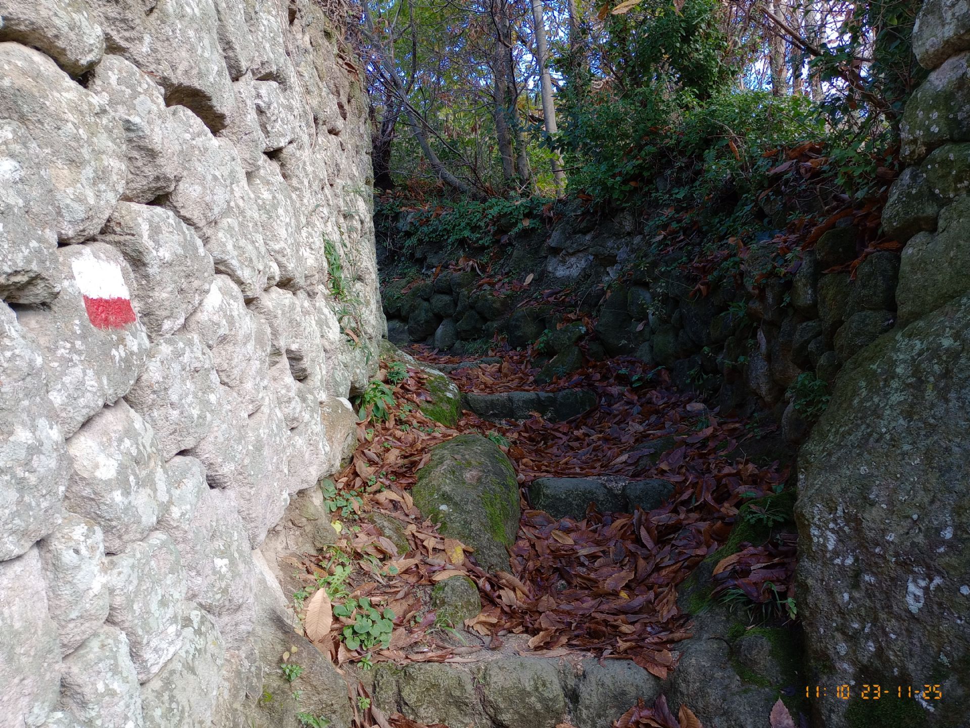 gradoni in pietra costeggiano un muro di tufo verde